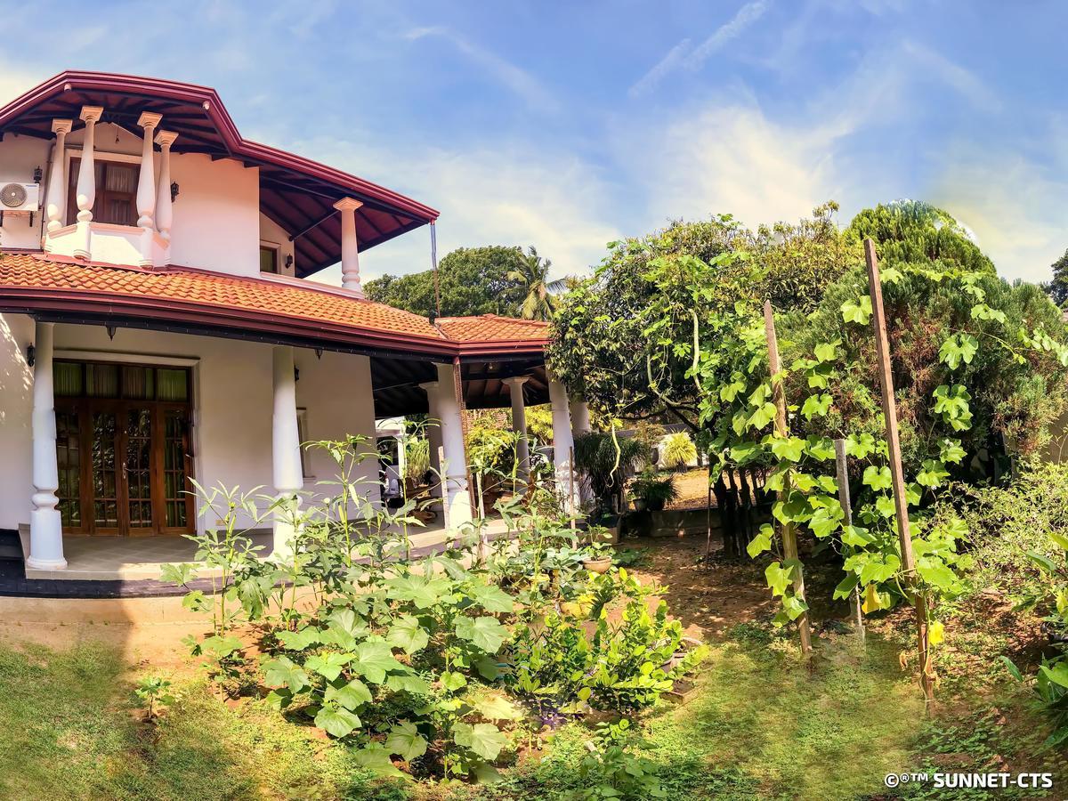Ceylon Pearlwing Resort Negombo Buitenkant foto